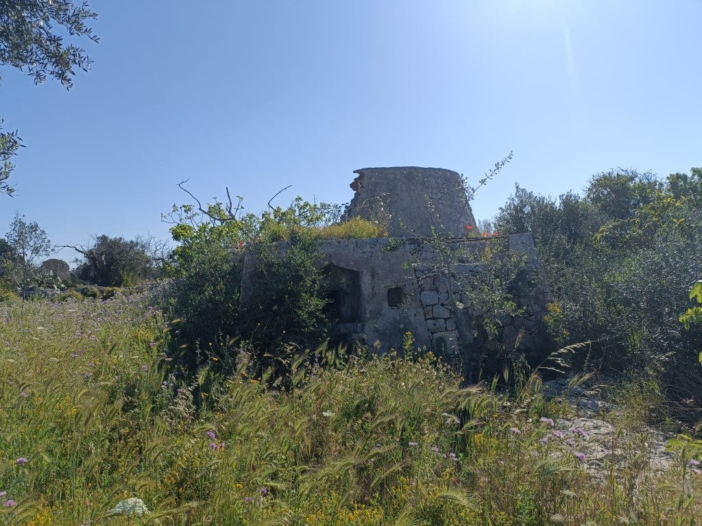 Giano Group Immobiliare